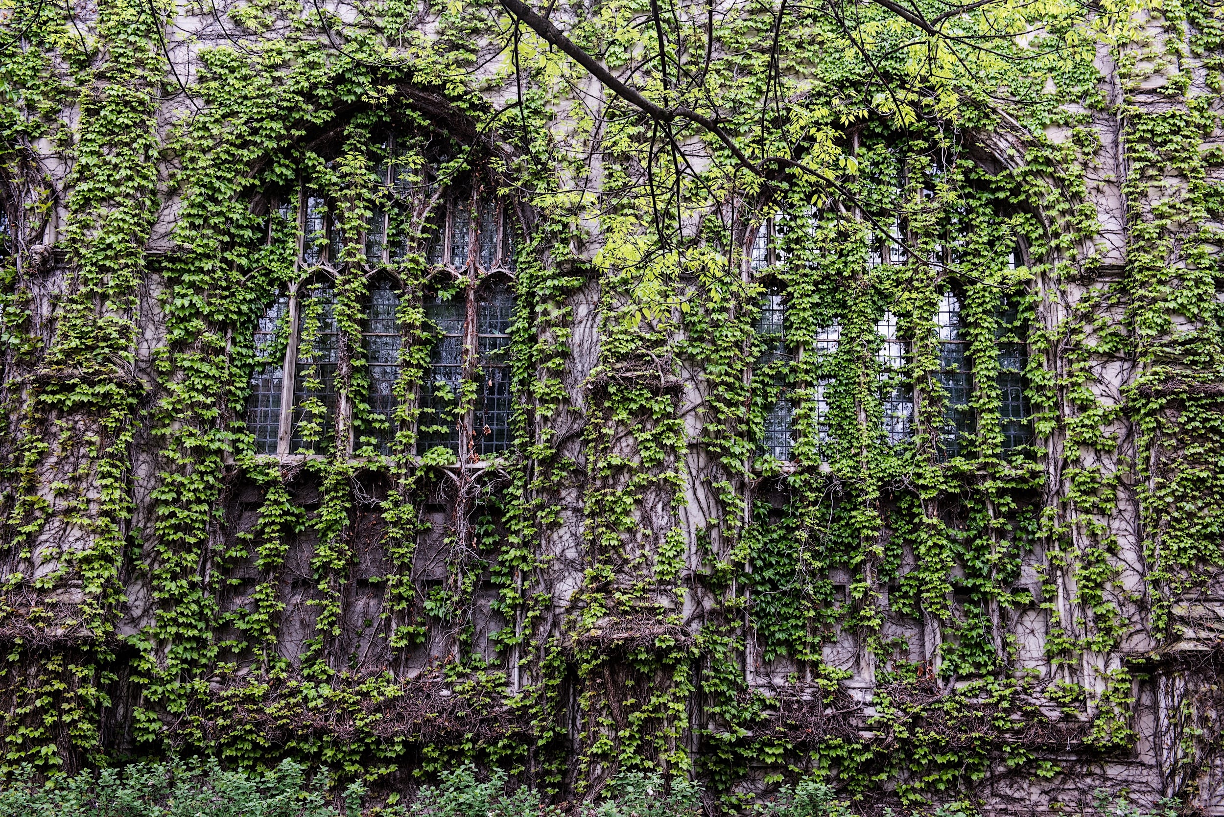 UChicago Campus